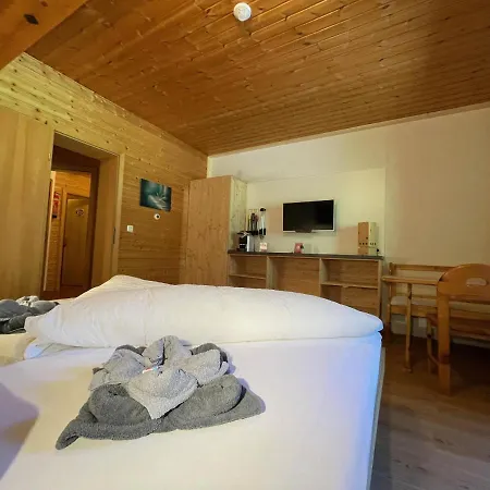 Guest house Apartpension Barenwirt Leutasch